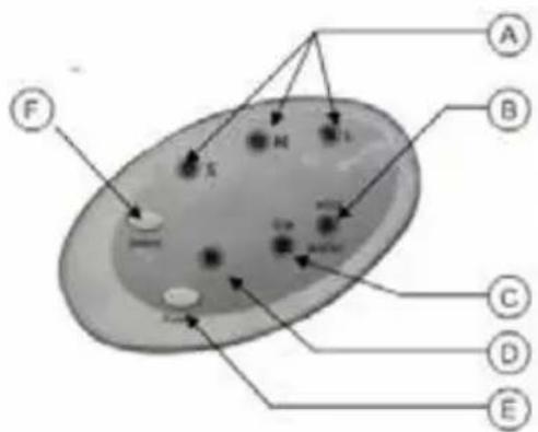 Diagram of a biological cell with labeled organelles and internal structures