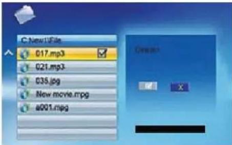 BRAUN DigiFrame 1570 - Deleting files - 2