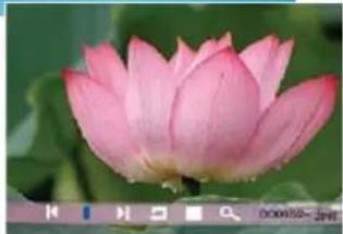 BRAUN DigiFrame 1570 - Using mixed files - 2
