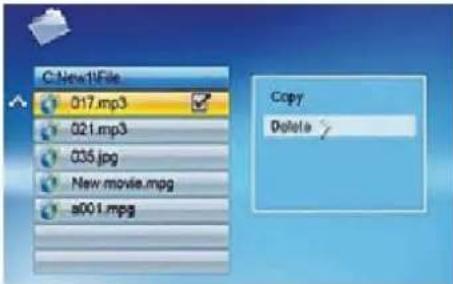 BRAUN DigiFrame 1570 - Deleting files - 1
