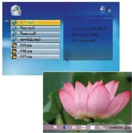 BRAUN DigiFrame 1570 - Como utilizar ficheiros variados - 1