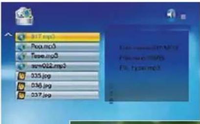 BRAUN DigiFrame 1570 - Using mixed files - 1