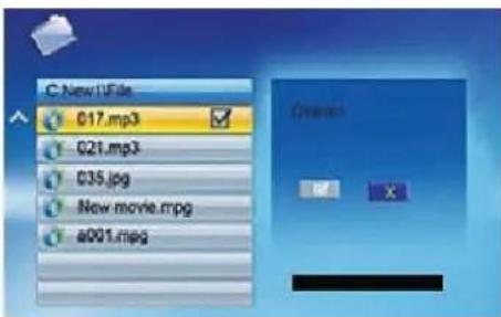 BRAUN DigiFrame 1570 - Borrar archivos - 2