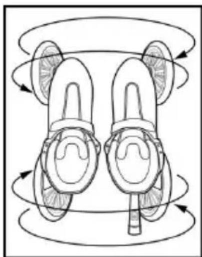 LandRoller Patines - CURA APPROPRIATA DEI LANDROLLER - 1