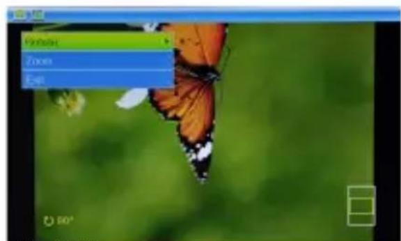 Ices IDPF700 - Zoom: - 2