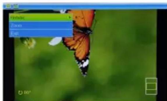 Ices IDPF700 - Zoom: - 2