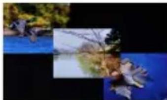 Ices IDPF700 - Slide Mode: - 3
