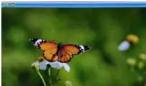 Ices IDPF700 - Foto-menu: - 2