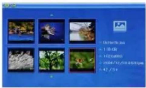 Ices IDPF700 - Photo Menu: - 1