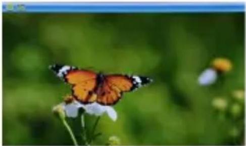Ices IDPF700 - Photo Menu: - 2