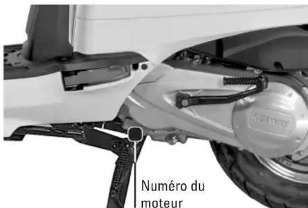 Tell Zahara 125 - Identification du vehicule - 2