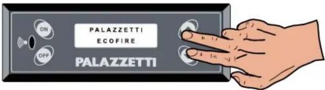 Palazzetti Ecofire Michela - Esempio 3 - 1