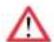 Palazzetti Ecofire Michela - PICTOGRAMMES - 3