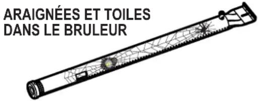 CHAR BROIL Big Easy - ALERTE AUX ARAIGNÉES ! - 1