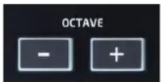 NOVATION Launchkey Mini MK2 - Octave supérieure/inférieure (+/-) - 1