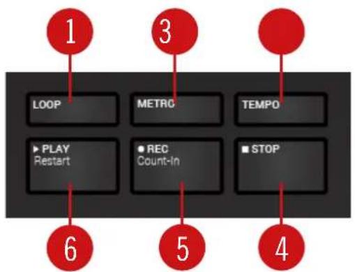 NATIVE INSTRUMENTS Komplete Kontrol S88 MK2 - Vue arrête - 2