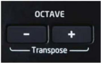 NOVATION Launchkey 25 MK2 - Octave supérieure/inférieure (+ / -) - 1