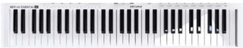 Arturia Keylab Essential 61 - Le clavier - 1