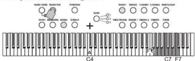 KORG LP380 - Transponierung - 2