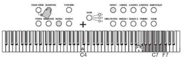 KORG LP380 - Transpose - 2
