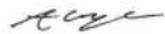 RYOBI RHT4550 - EC DECLARATION OF CONFORMITY - 1