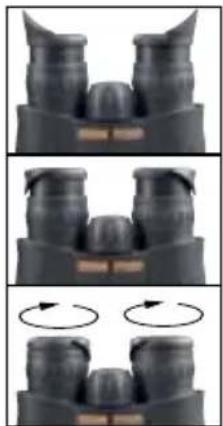 Steiner Safari UltraSharp 8x22 - CEILLETONS ERGONOMIQUES « TWIST UP / DOWN » - 1