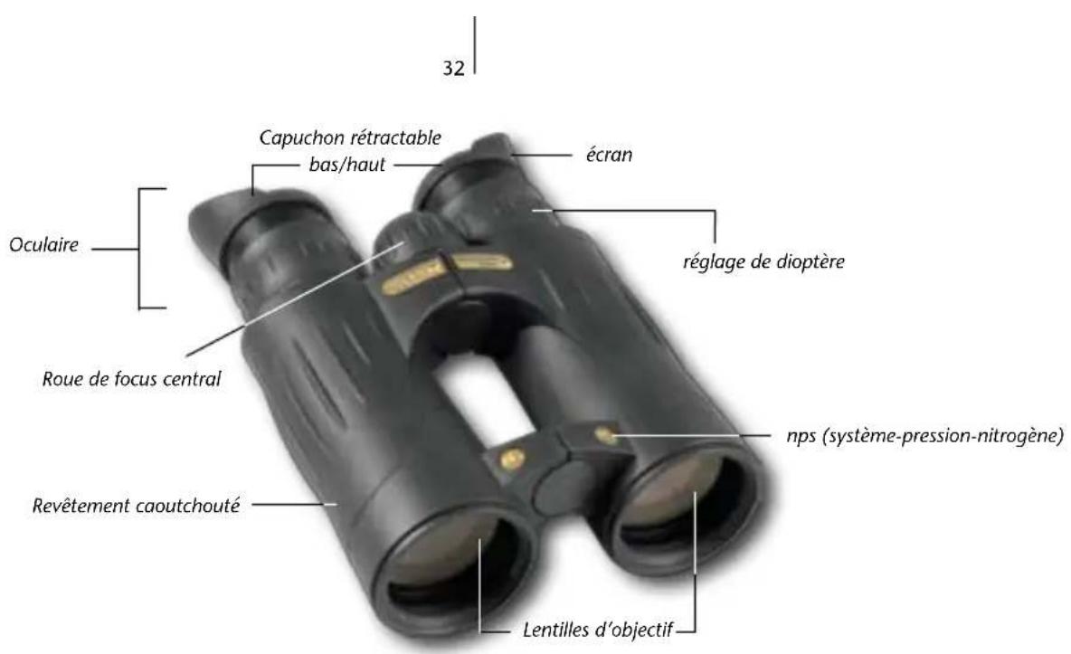 Steiner Safari UltraSharp 8x22 - COMMENT UTILISER L'OCULAIRE A MÉMOIRE. - 1