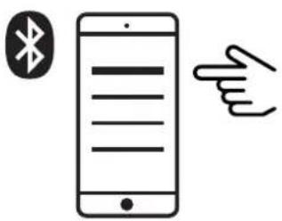 FRESH N REBEL Rockbox Bold M - Is the Bluetooth on your phone on? - 1