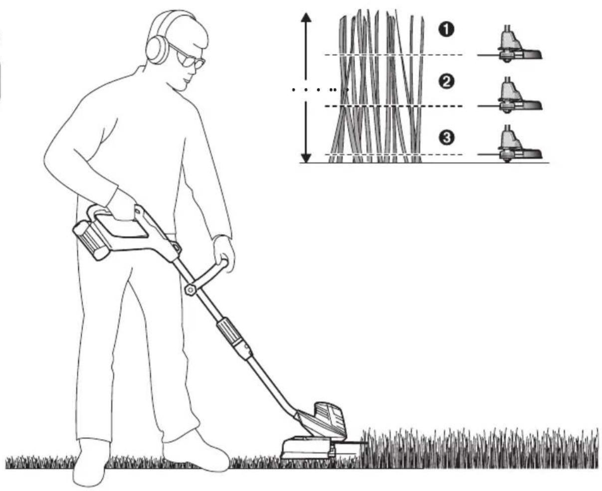 BOSCH Advanced Grass Cut 36 Li - النقل - 7
