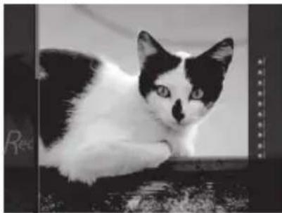 FUJIFILM Instax Square SQ20 - 3ΦΦeKtblToIbKOДЯBnIeOcbeMKN - 1