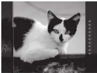 FUJIFILM Instax Square SQ20 - Efekty pouze pri snimání videa - 1