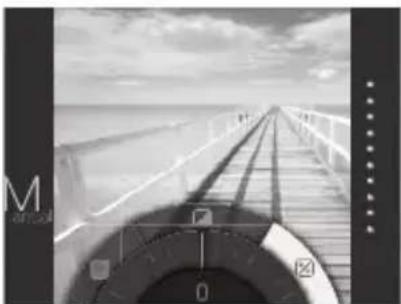 FUJIFILM Instax Square SQ20 - Ajuste de la luminosidad Viñeta - 1