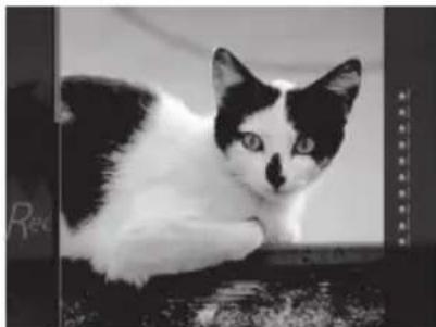 FUJIFILM Instax Square SQ20 - Efeitos apenas para gravacao de filmes - 1