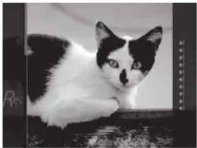 FUJIFILM Instax Square SQ20 - Snímanie videozáznamu - 3