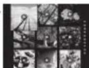 FUJIFILM Instax Square SQ20 - Noveimmagini - 3