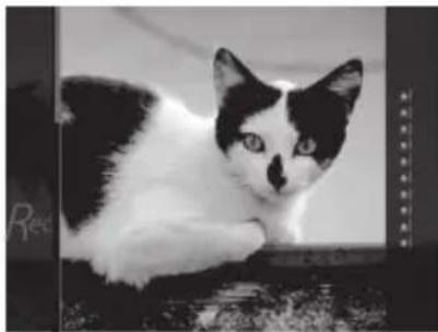 FUJIFILM Instax Square SQ20 - Alleen effecten voor filmopnamen - 1