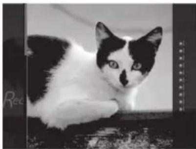 FUJIFILM Instax Square SQ20 - Información para la trazabilidad en Europa - 23