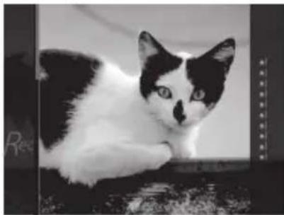 FUJIFILM Instax Square SQ20 - ■ Effets uniquement pour le tournage d'un film - 1