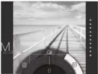 FUJIFILM Instax Square SQ20 - Dehelderheid aanpassen Vignet - 2