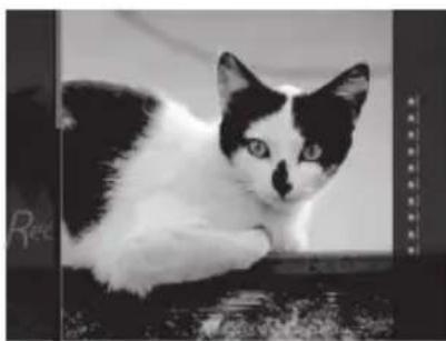 FUJIFILM Instax Square SQ20 - Información para la trazabilidad en Europa - 32