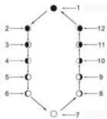 Cresta DTX370 - AFFICHAGE DES PHASES LUNAIRES - 1