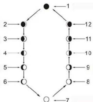 Cresta DTX355 - Maanstand display - 1