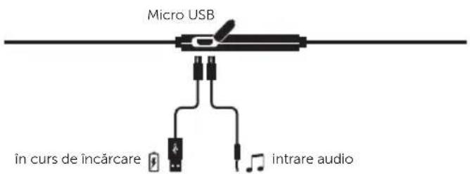 FRESH N REBEL Lace Supreme - BUTOANE $I LED - 3