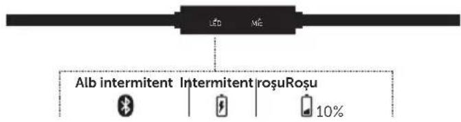 FRESH N REBEL Lace Supreme - BUTOANE $I LED - 2