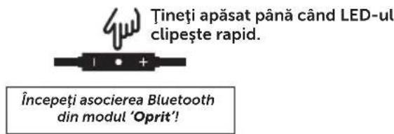 FRESH N REBEL Lace Supreme - CONFIGURE - 3