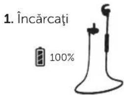 FRESH N REBEL Lace Supreme - CONFIGURE - 1