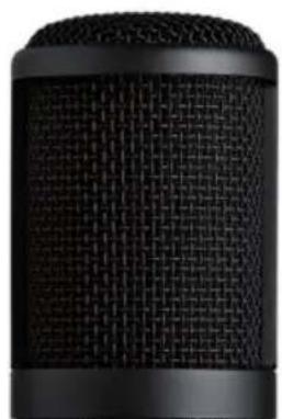 AKG P120 - 1