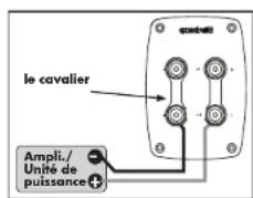 Quadral Quintas 602 - Bornes à vis - 3