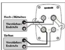Quadral Quintas 602 - Schraubklemmen - 5