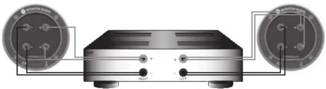 MONITOR AUDIO Bronze Centre - Падвойная электраправодка - 2